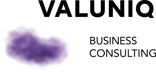 VALUNIQ BUSINESS CONSULTING
